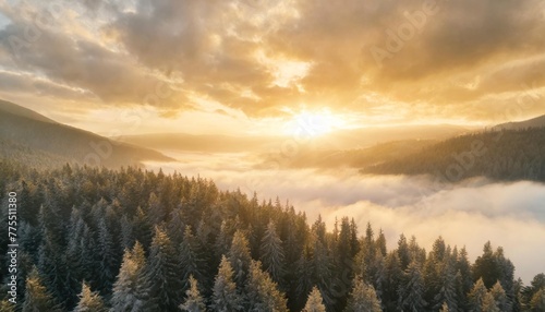 new year 2024 environment inspirational abstract nature background of pine trees in a mountain forest and clouds aerial top view © Lauren