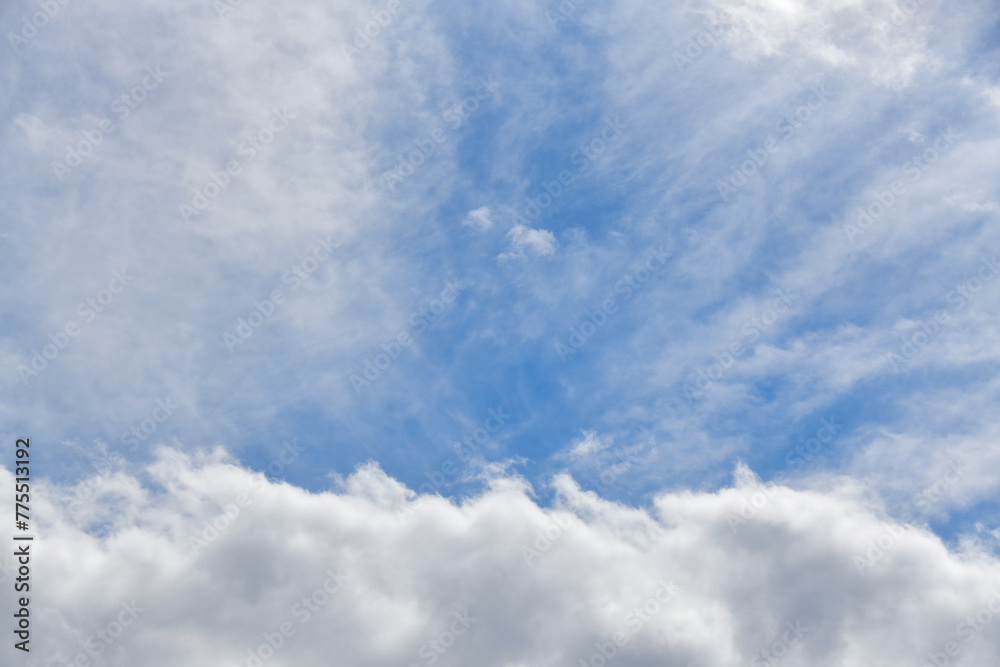 Fototapeta premium 青空と白い雲 コピースペース