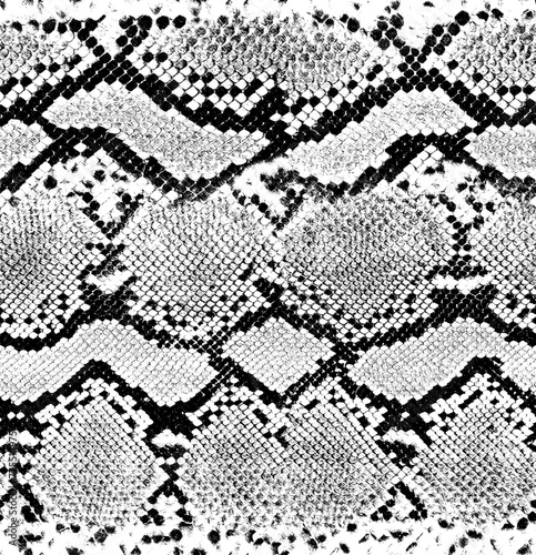 Snake skin pattern and repeating Seamless. Animal print and textile design. illustration. Texture snake. Fashionable print.
