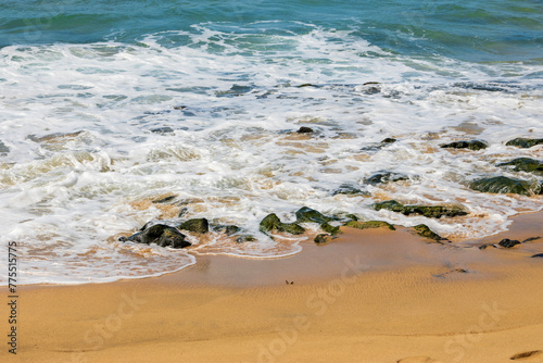 Wallpaper Mural a beautiful spring landscape at Sandy Beach with blue ocean water, silky brown sand, rocks covered in green algae, palm trees and plants crashing waves, blue sky and clouds in Honolulu Hawaii USA Torontodigital.ca