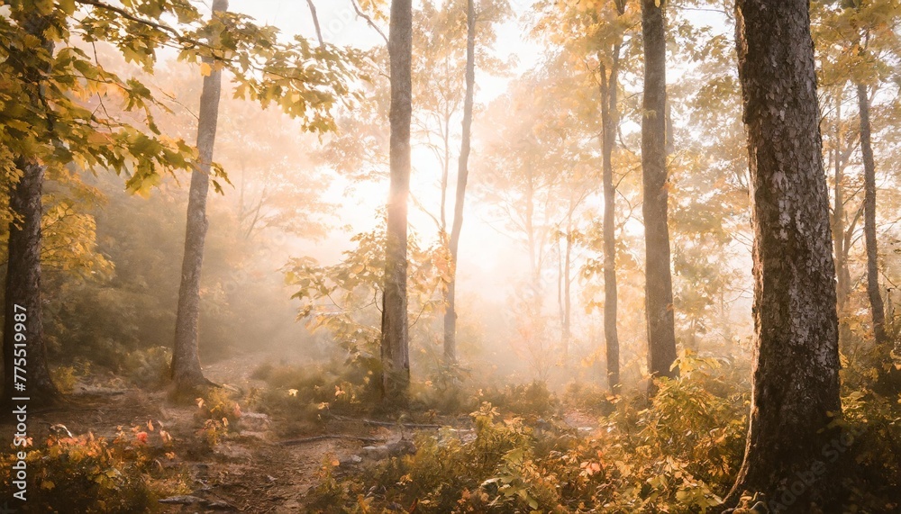 scenic foggy autumn forest with sunlight nature landscape ai generated image