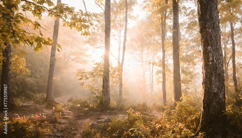 scenic foggy autumn forest with sunlight nature landscape ai generated image