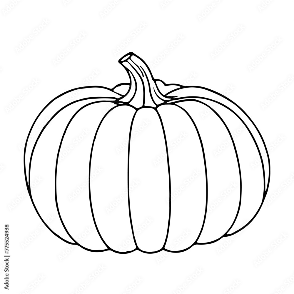 Continuous one black line drawing of pumpkin Halloween autumn harvest outline sketch doodle for coloring vector on white background Continuous one black line drawing of pumpkin Halloween autumn harvest outline sketch doodle for coloring vector on white background