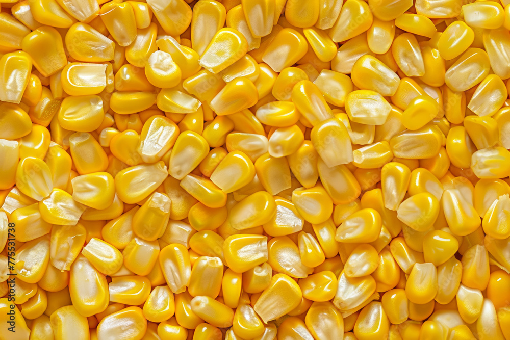 Texture of bright yellow kernels of fresh corn. Ecological healthy proper vitamin nutrition Texture of bright yellow kernels of fresh corn. Ecological healthy proper vitamin nutrition