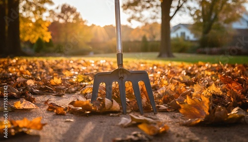 fall leaves