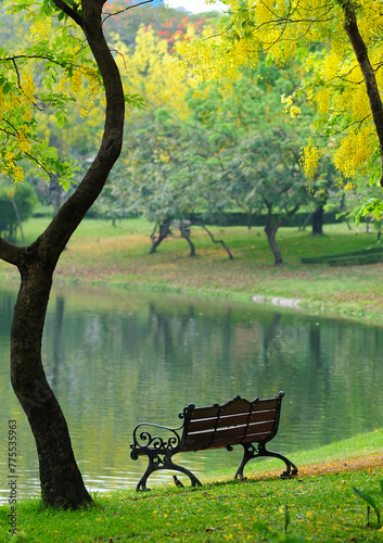 An Empty Bench in a Quiet Park
