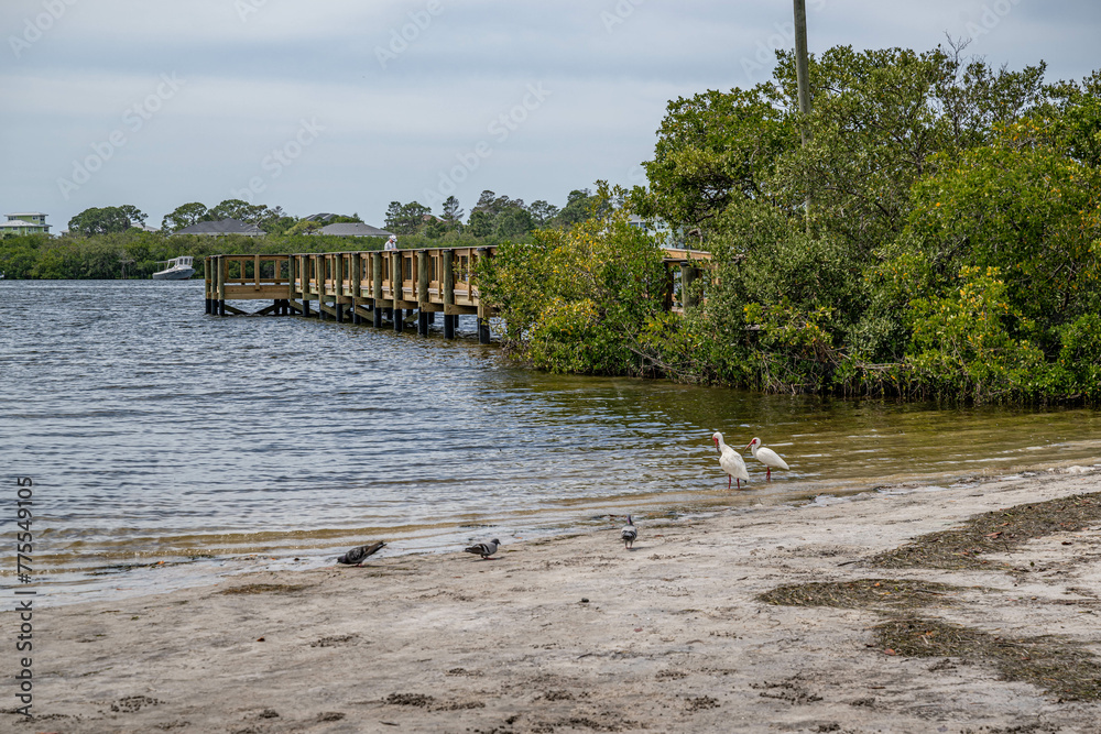 Fototapeta premium palm harbor, fl