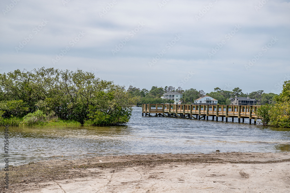 Fototapeta premium palm harbor, fl