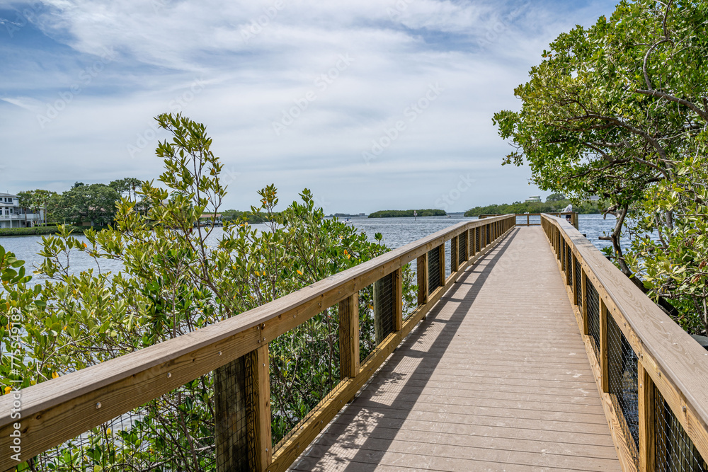 Obraz premium palm harbor, fl