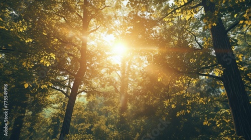 Sun shining through the trees in a forest. Generative AI.
