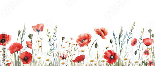 Watercolor meadow of wildflowers and grasses with red poppies and daisies in the style of seamless pattern illustration on a white background