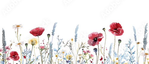 Watercolor meadow of wildflowers and grasses with red poppies and daisies in the style of seamless pattern illustration on a white background