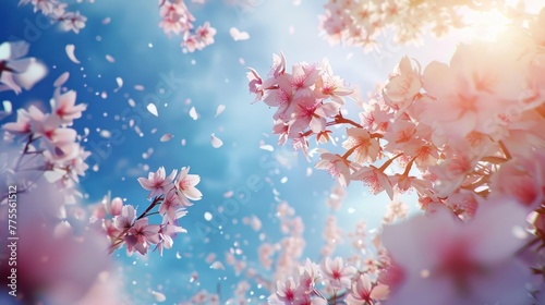 Beautiful spring bright natural background with soft pink sakura flowers and birds
