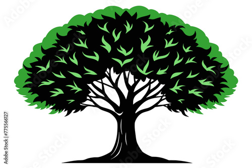 American beech tree vector design