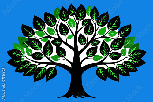 American beech tree vector design