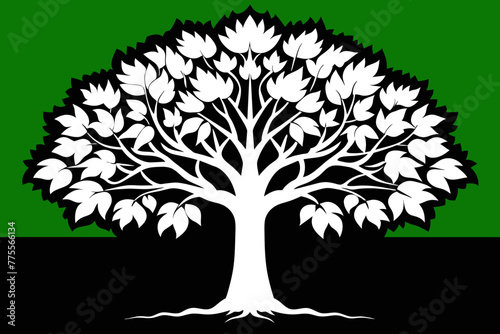 American beech tree vector design