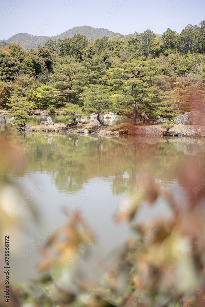 Japanese Garden