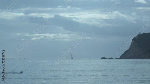 swimming in the ocean