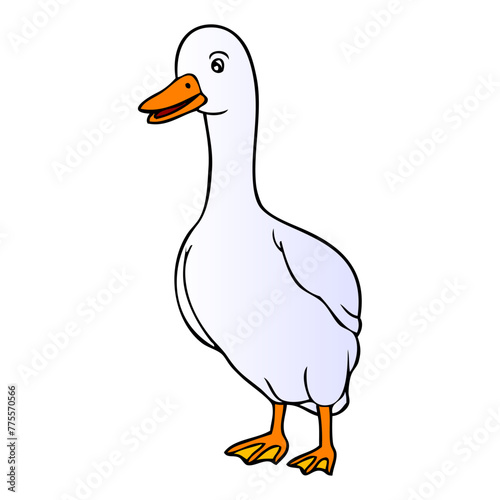 duck vector illustration