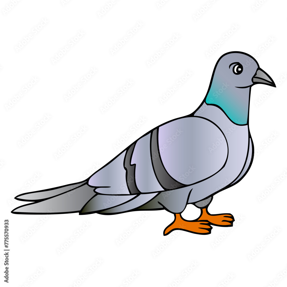 Fototapeta premium pigeon vector illustration