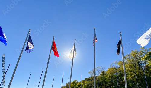 Field of Flags at the VFW photo