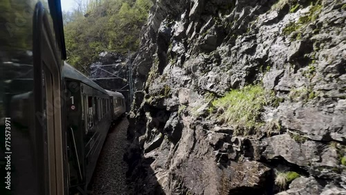 The train goes to the mountain gorge. Norway