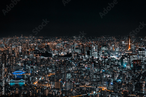 The great city of Asia  Tokyo 