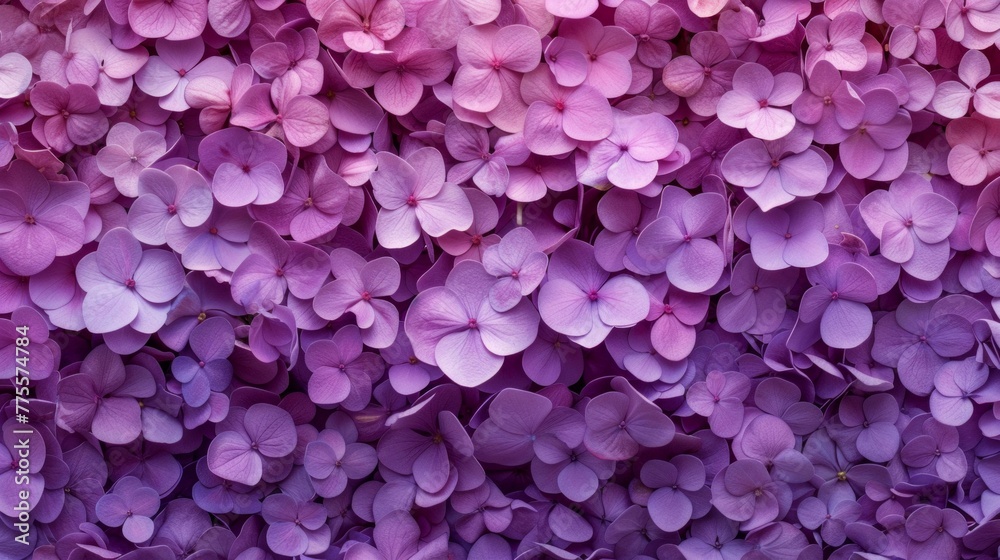 Create a mesmerizing backdrop showcasing an abundance of fragrant petals in a gradient of purple hues. This floral texture should evoke the essence of a blooming garden, AI Generative