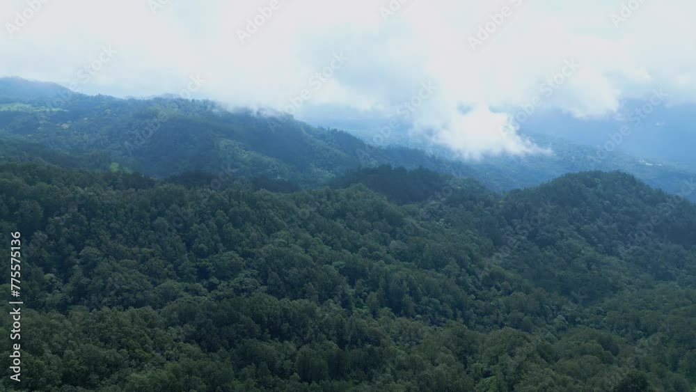 Aerial Drone View at Green Forest Trees on Beautiful Mountains of Asia Land. Journey Trip to Lush Misty Woods and Jungle Nature of Indonesia. Air Ecology and Old Environment of Asian Cloudy Rainforest Aerial Drone View at Green Forest Trees on Beautiful Mountains of Asia Land. Journey Trip to Lush Misty Woods and Jungle Nature of Indonesia. Air Ecology and Old Environment of Asian Cloudy Rainforest