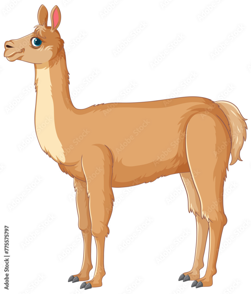 Obraz premium A stylized vector image of a single llama