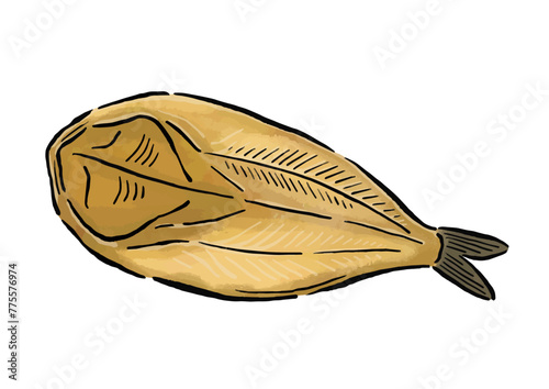 ほっけの干物　水彩風の筆の線画イラスト