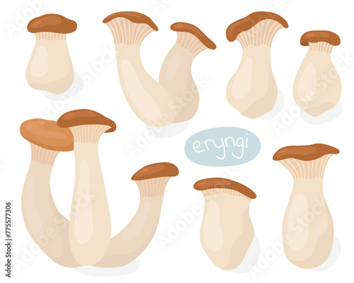 Eryngi. Asian mushroom. Mediterranean mushroom. Tasty mushrooms, ingredients. King trumpet mushroom, king oyster mushroom, french horn mushroom.
