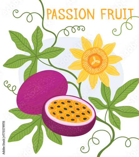 Passion fruit. Design for card, poster. Tropical exotic fruits with flower and leaves. Cartoon vector illustration.