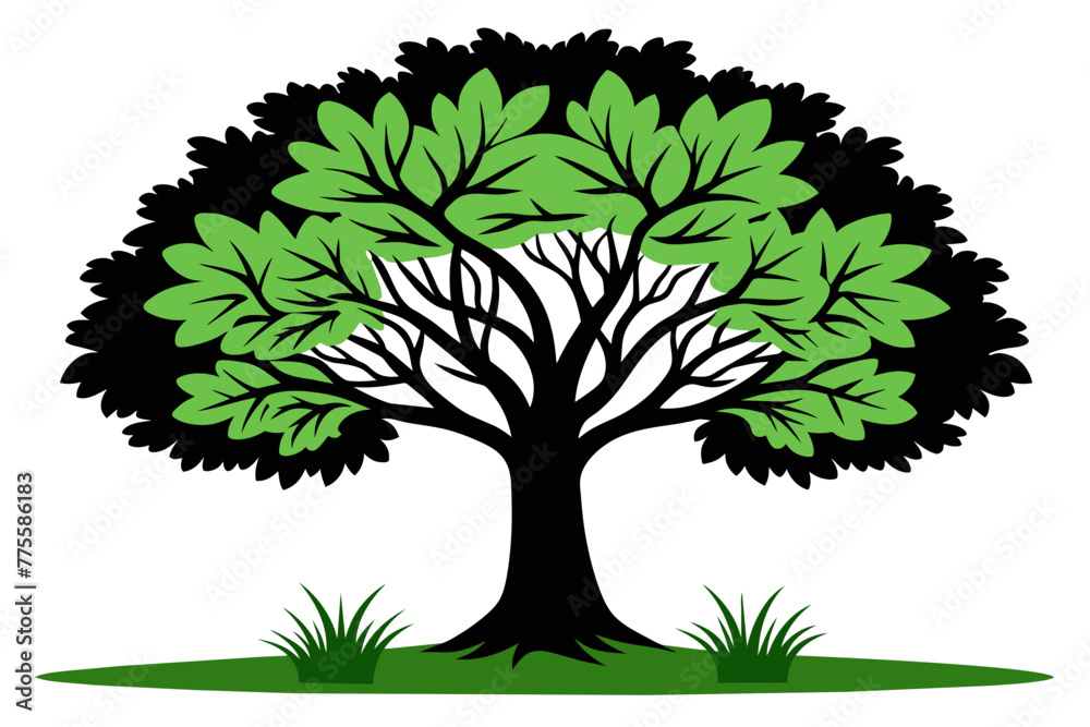 Fototapeta premium Elm tree vector design