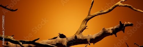 Minimal mockup background for product presentation. Podium and dry tree twigs on ornage backdrop 3d rendering illustration. for product presentation, banner design, anoffer template. Light and shadows