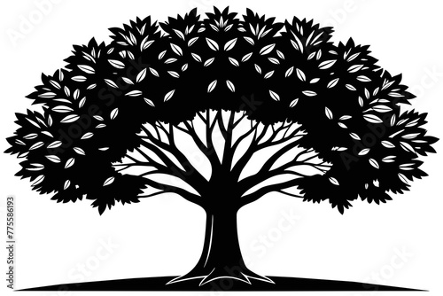 Elm tree vector design