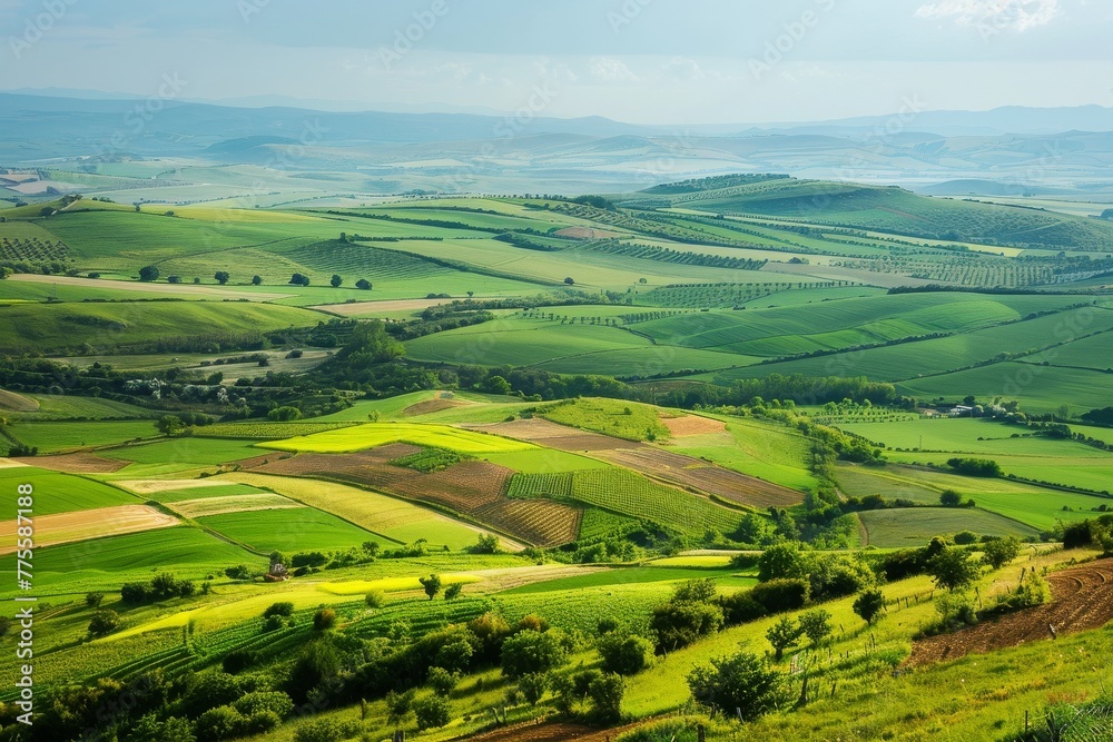 Lush Green Valley With Rolling Hills