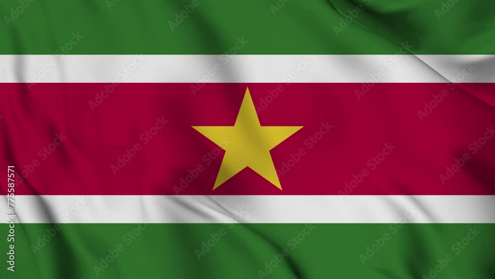 Suriname flag
