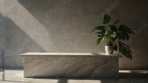 Minimal empty marble stone counter with sunlight, leaf shadow on cement wall background