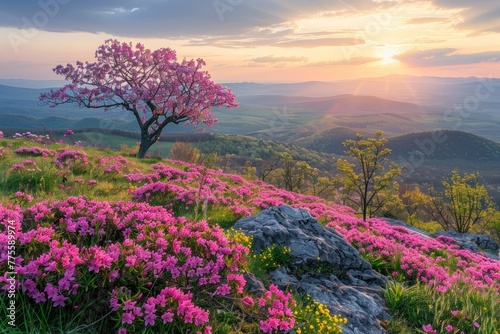 A beautiful mountain landscape with a pink tree in the foreground