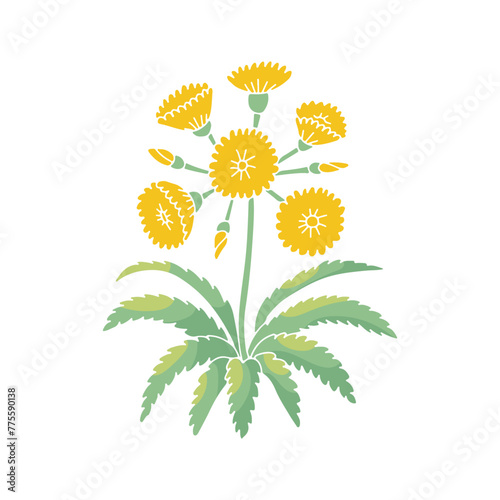Canary islands stylized wild tree sonchus flower motif isolated on white background photo