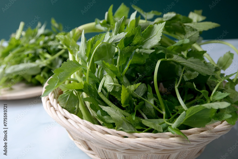 minari,water parsley