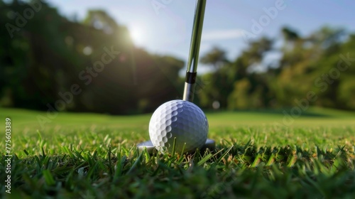Golf club and golf ball on the grass. Golfer's feet