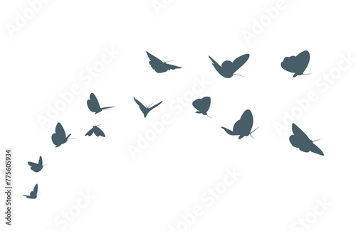 The flock of a blue butterflies.
