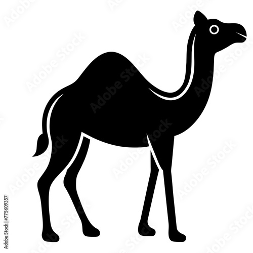 camel cartoon illustration