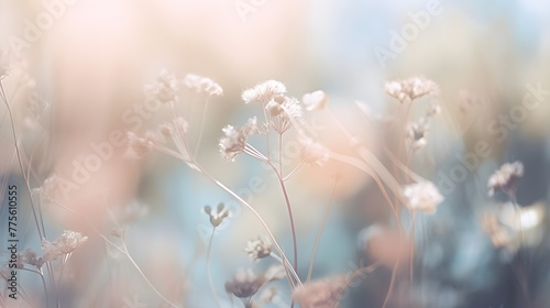 light soft floral abstract background