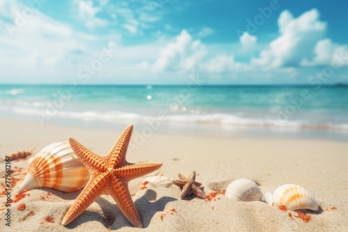 seashell background on the shore © Aida