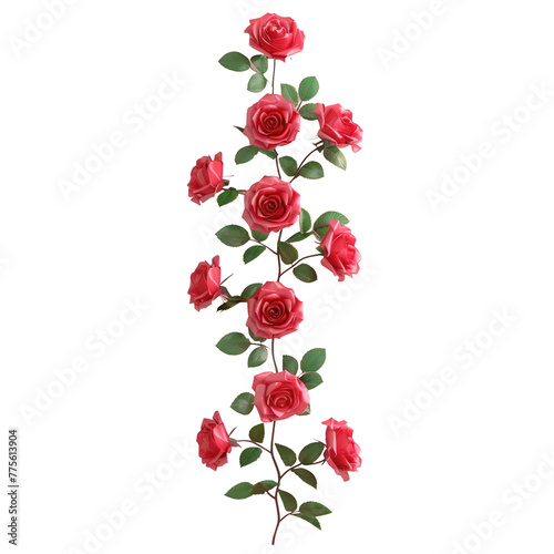 Red roses on Transparent Background