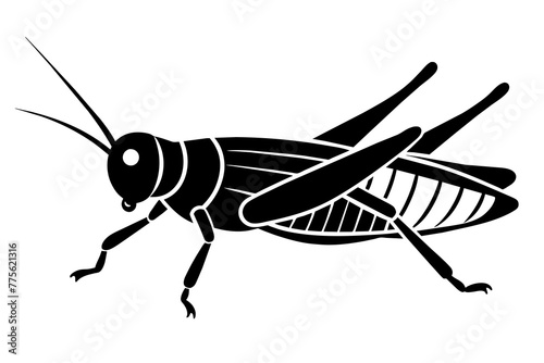 grasshopper silhouette vector illustration © CreativeDesigns