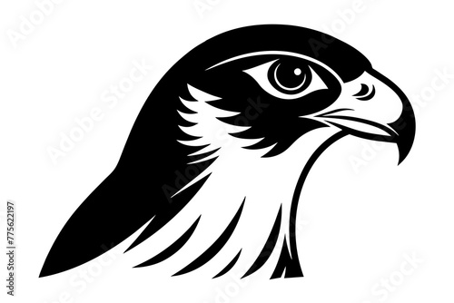 falcon head silhouette vector illustration